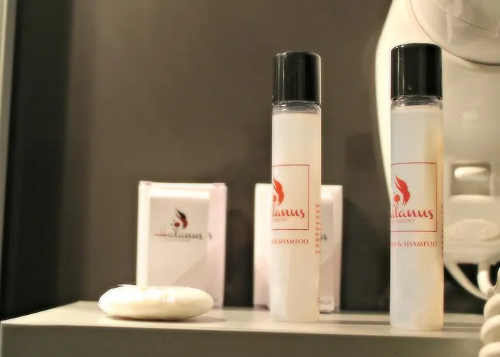 Отель Halanus And 3*