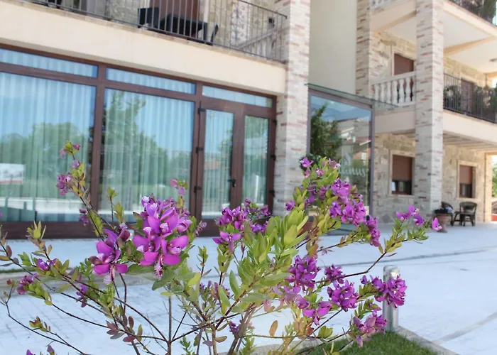 Отель Halanus And 3*